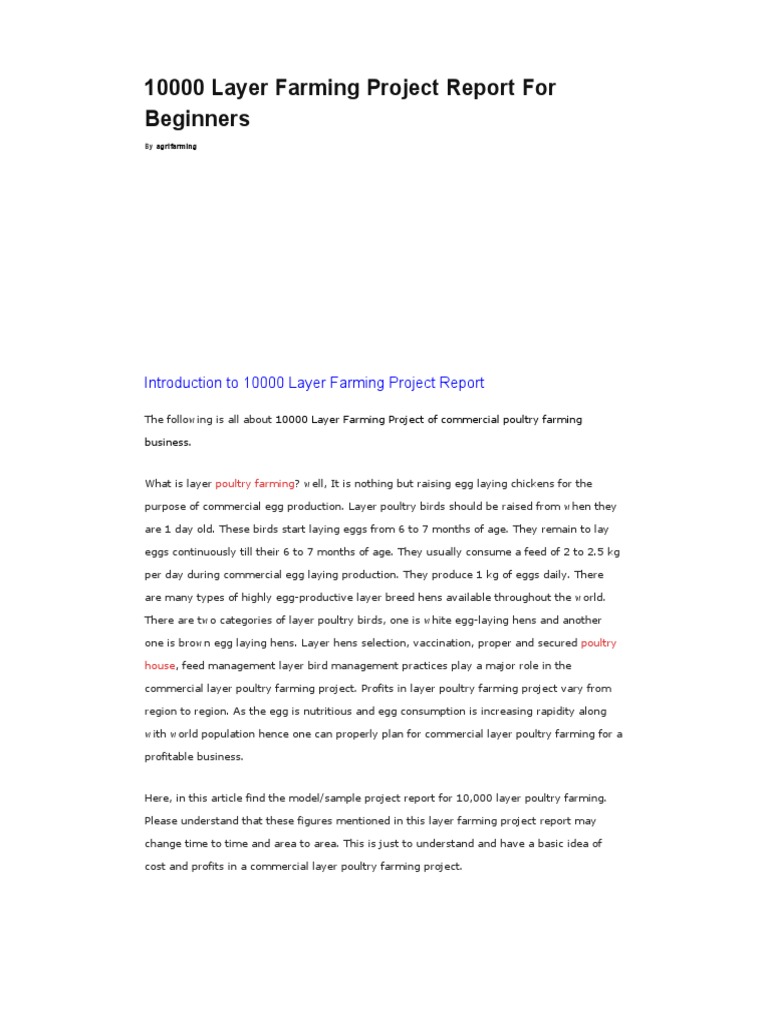 10,000 Layer Poultry Farming Report | PDF | Poultry | Poultry Farming