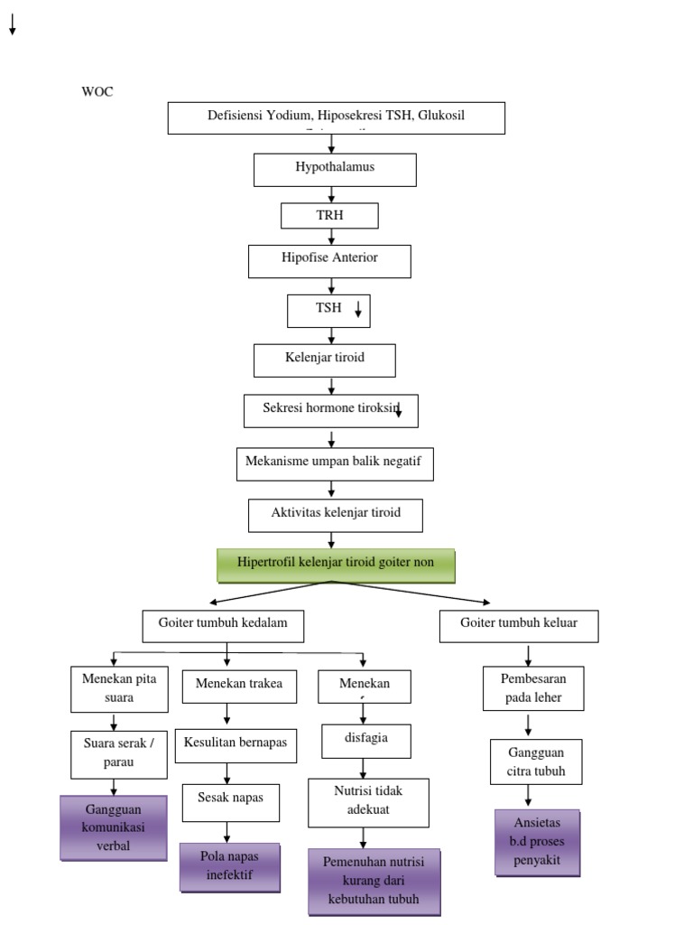 Patofisiologi Goiter dan Hipertiroidisme | PDF