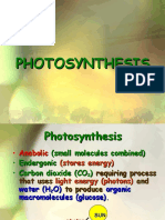 Photosynthesis