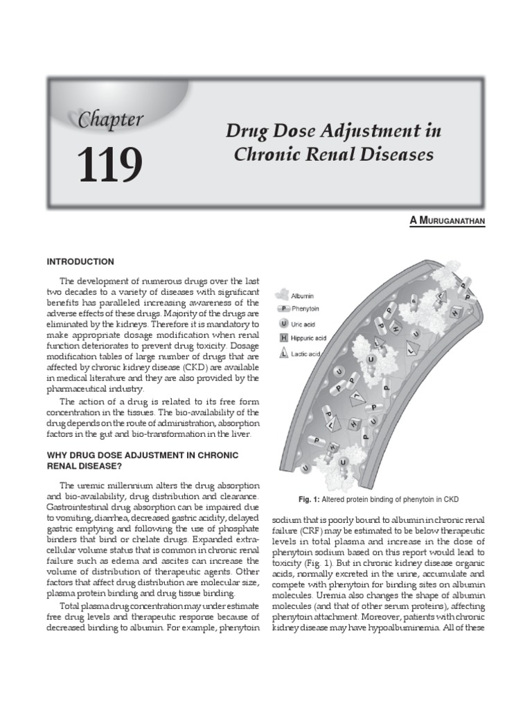 Drug Dose Adjustment in Renal Failure | PDF | Renal Function | Creatinine