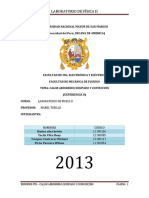 329428519 Informe Calor Absorbido Disipado Disipado y Conveccion UNMSM