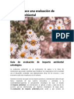 Cómo Se Hace Una Evaluación de Impacto Ambiental