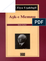 aski memnu4.pdf