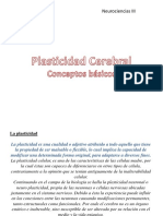 Plasticidad Cerebral Conceptos Basicos