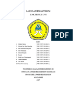 Laporan Praktikum Bakteriologi