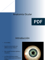 Clase 2. Anatomía Ocular. Globo Ocular