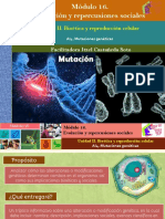 AI4. Mutaciones Genéticas/módulo 16