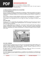 06 Ciencia y Ambiente Mes de Agosto