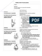 Familia Dictyocaulidaey Orden Spirurida