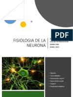 Fisiologia de La Neurona