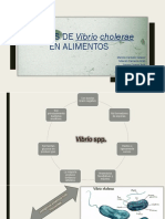 PRESENTACION Análisis de Vibrio Cholerae en Alimentos PDF