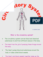 Circulatory System.ppt