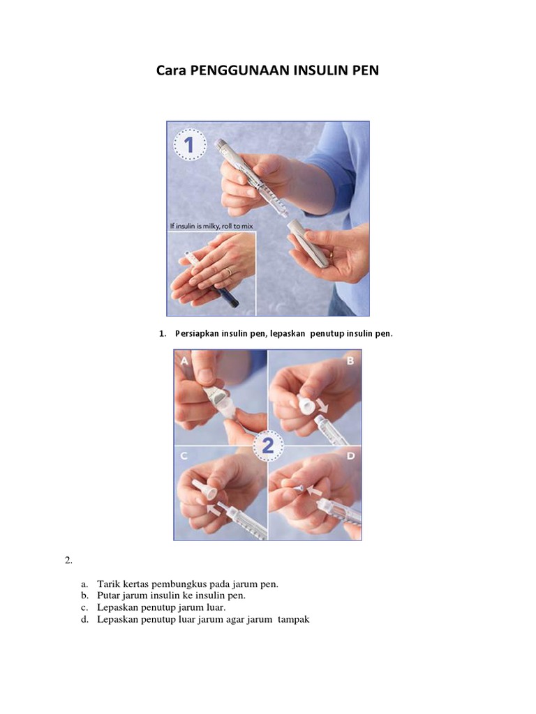 Cara Penggunaan Insulin Pen Yang Benar Pdf