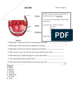 Stephen - Teeth Worksheet