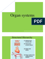 Organ Systems SLIDESHOW