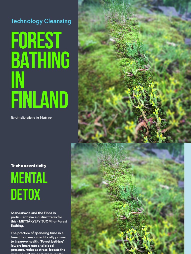 Forest Bathing PDF Finland Nature