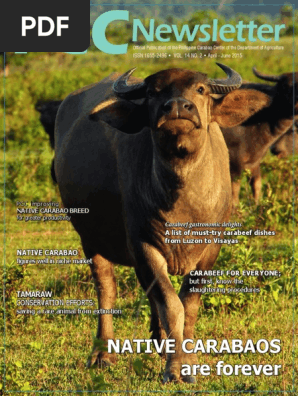 PCC Newsletter 2015 Carabao