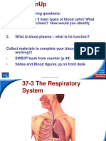 The_Respiratory_System (1).ppt