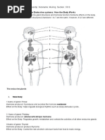 The Endocrine Systems How The Body Works