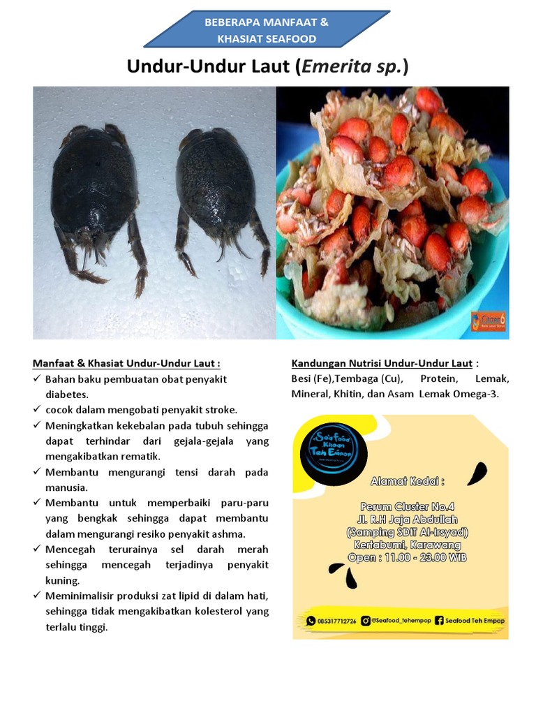 Beberapa Manfaat Seafood UndurUndur Laut PDF