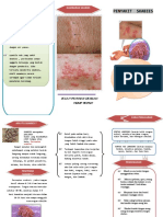 Leaflet-Scabies.doc