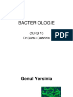 Bacteriologie cursuri