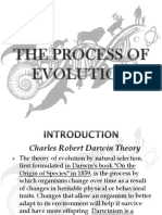 Darwin's Theory of Evolution by Natural Selection