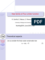 New Family of Flux Limiter Function: H. Carrillo, E. Macca, C. Pares and G. Russo