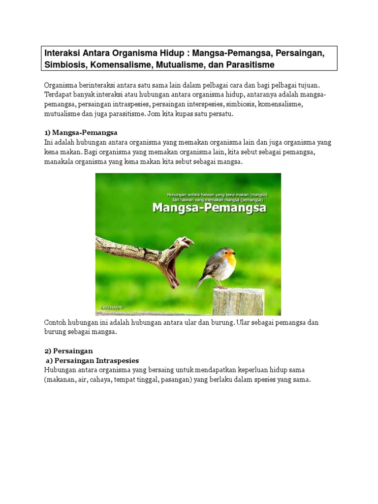 Interaksi Antara Organisma Hidup Pdf
