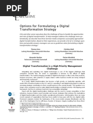 Options for Formulating a Digital Transformation Strategy