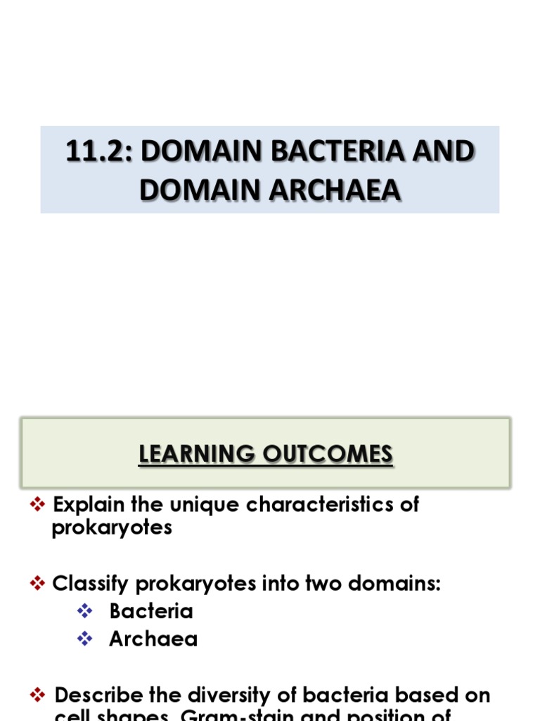 Characteristics of Archaea and Bacteria | PDF | Prokaryote | Bacteria