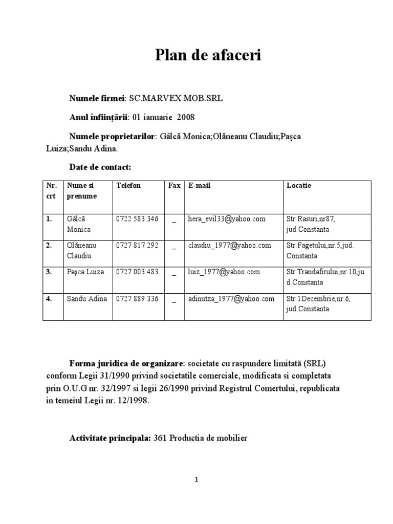 Plan De Afaceri Model Completat Word Image to u