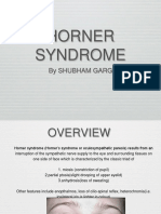 Horner Syndrome: by Shubham Garg