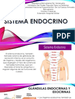 Sistema Endocrino