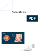 Anatomi, Fisiologi Retina, Definisi Retinal Detachment