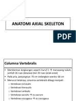 Anatomi Axial Skeleton 2018