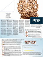 Ugears Flower Assembly Instructions