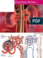 T20-++FISIOTATOLOGIA+RENAL+I.pdf