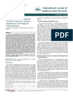 The Artery of Adamkiewicz Vascular Anatomy Clinical Significance and Surgical Considerations 9VoD