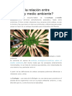 ¿Cuál Es La Relación Entre Ecología y Medio Ambiente?