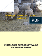 129174079-presentacion-manejo-reproductivo-en-ovinos-pdf.pdf