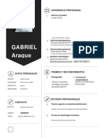 Gabriel Araque123