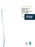 Manual Gestion de SST - PYMES PDF