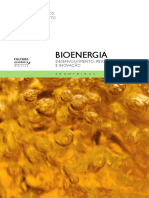 Bioenergia - Desenvolvimento, Pesquisa e Inovação. Lemos & Stradiotto.