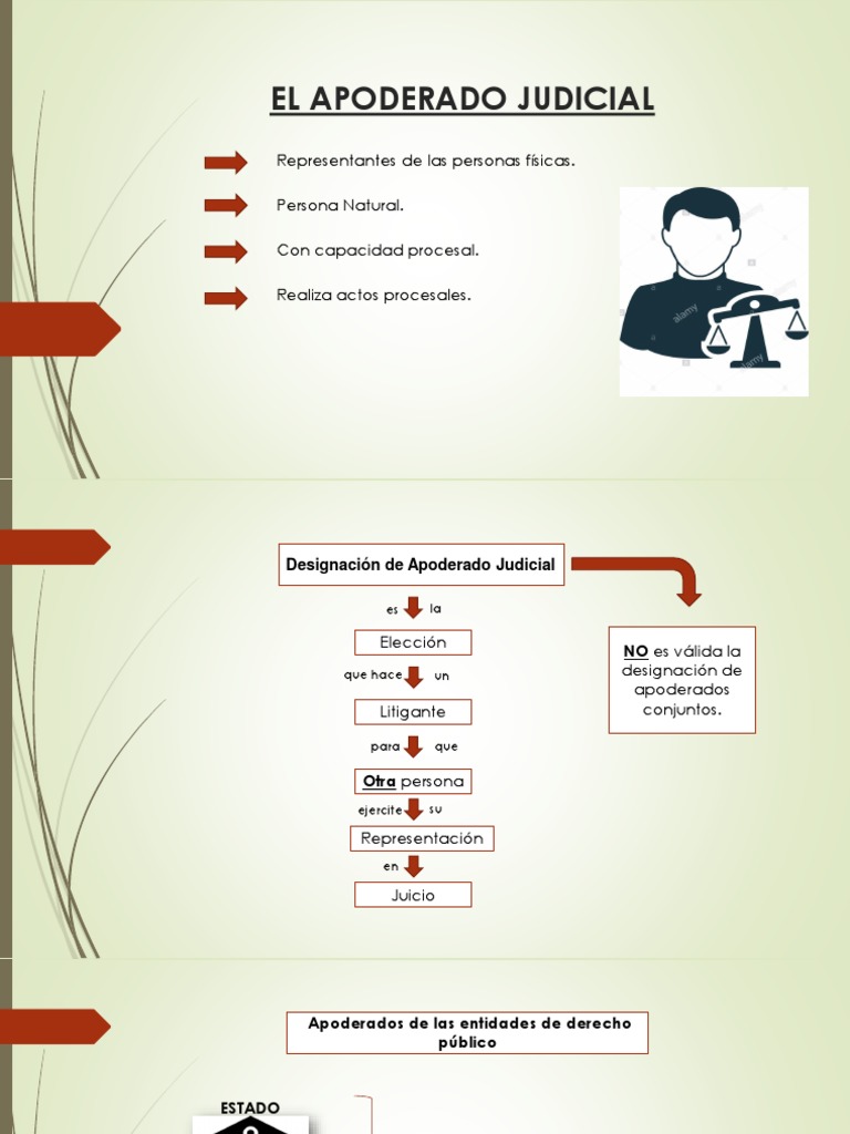 El Apoderado Judicial PDF Ley procesal Esfera pública