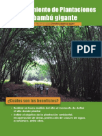 Cartilla 1 Establecimiento de Plantaciones de Bambú Gigante