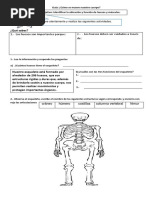 Guia de Trabajo El Esqueleto