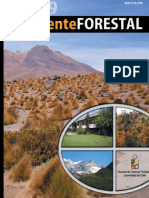 Revista Ambiente Forestal n7 2009.pdf
