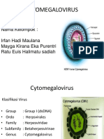 Cytomegalovirus 