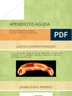 Apendicitis Aguda